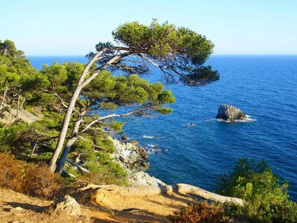 Appartement Six-Fours-les-Plages, 2 pièces, 2 personnes - FR-1-316-299