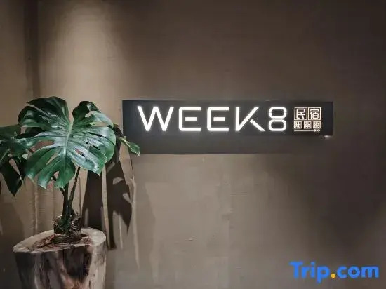 WEEK8