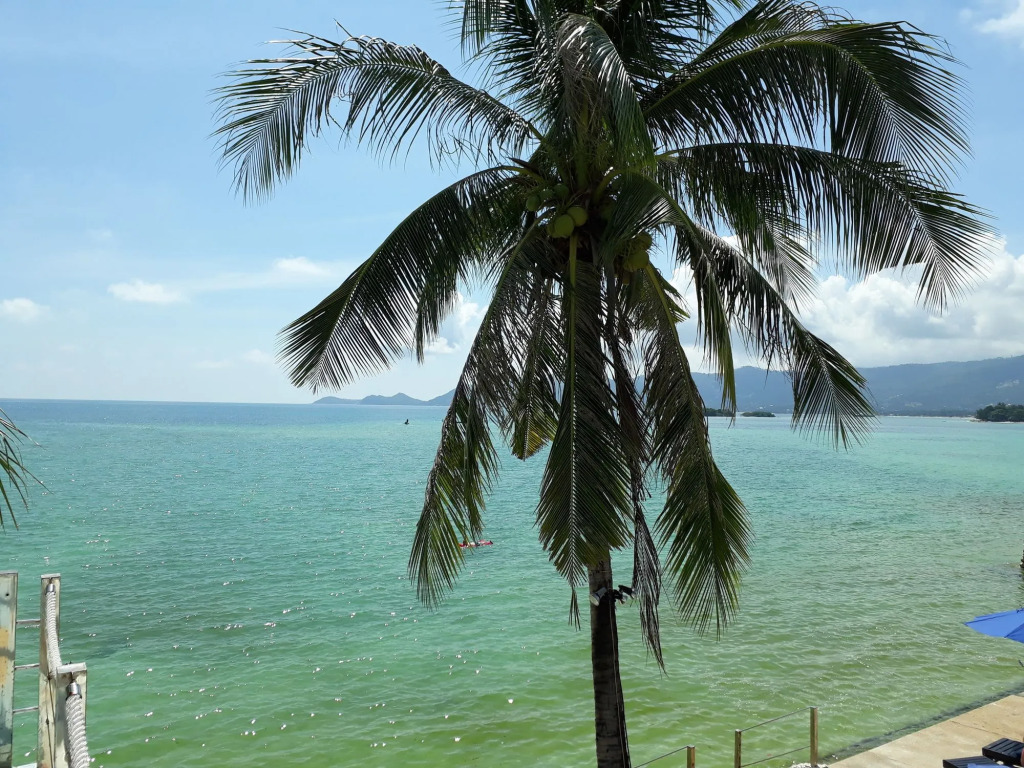 Papillon Resort