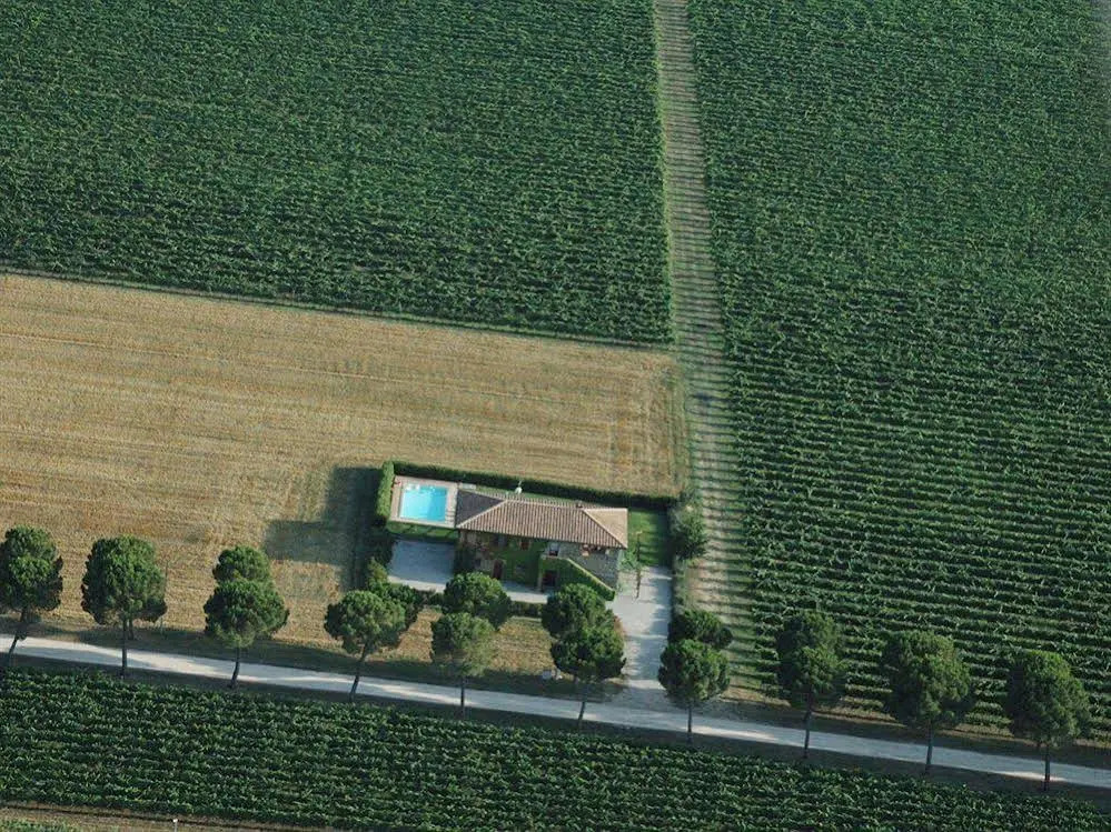 Poggio alle Vigne