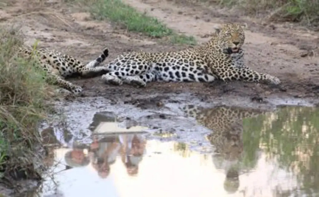 Umkumbe Safari Lodge