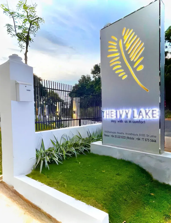 The Ivy Lake