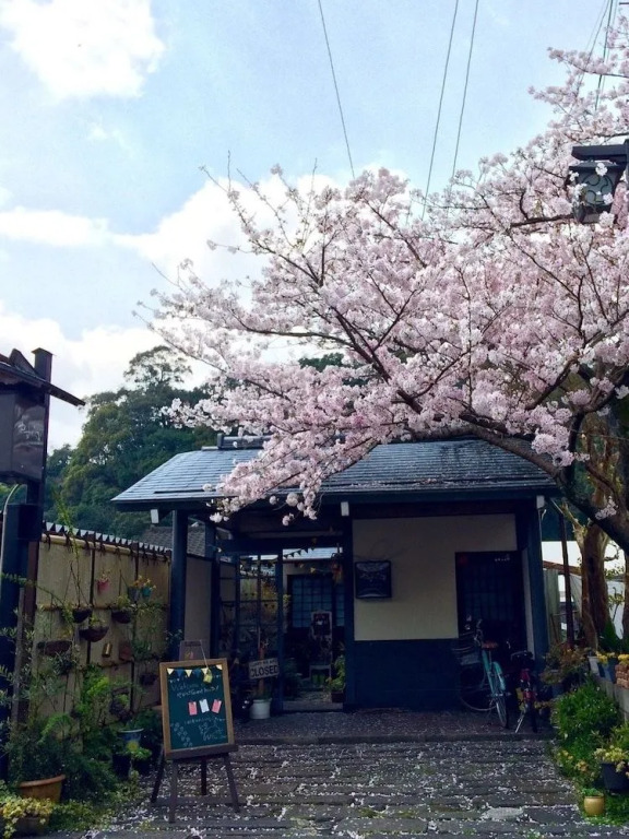 Yasuragi Guest House & Bar