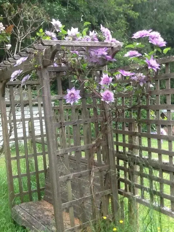 Wisteria Honeymoon Cottage