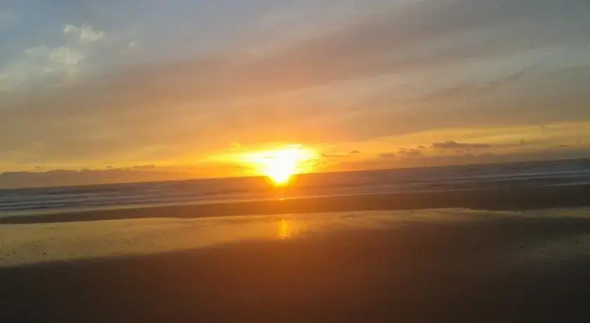 La Morera, El Palmar