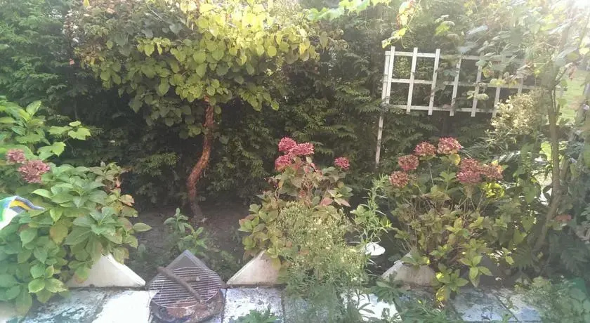 Roses Garden