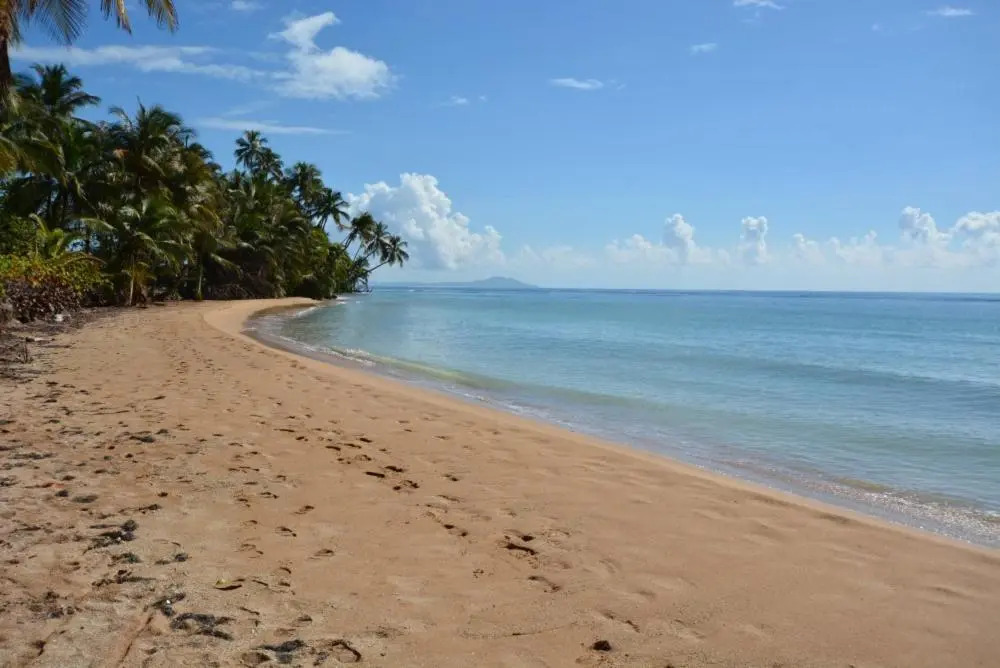 Crescent Cove 87 at Palmas