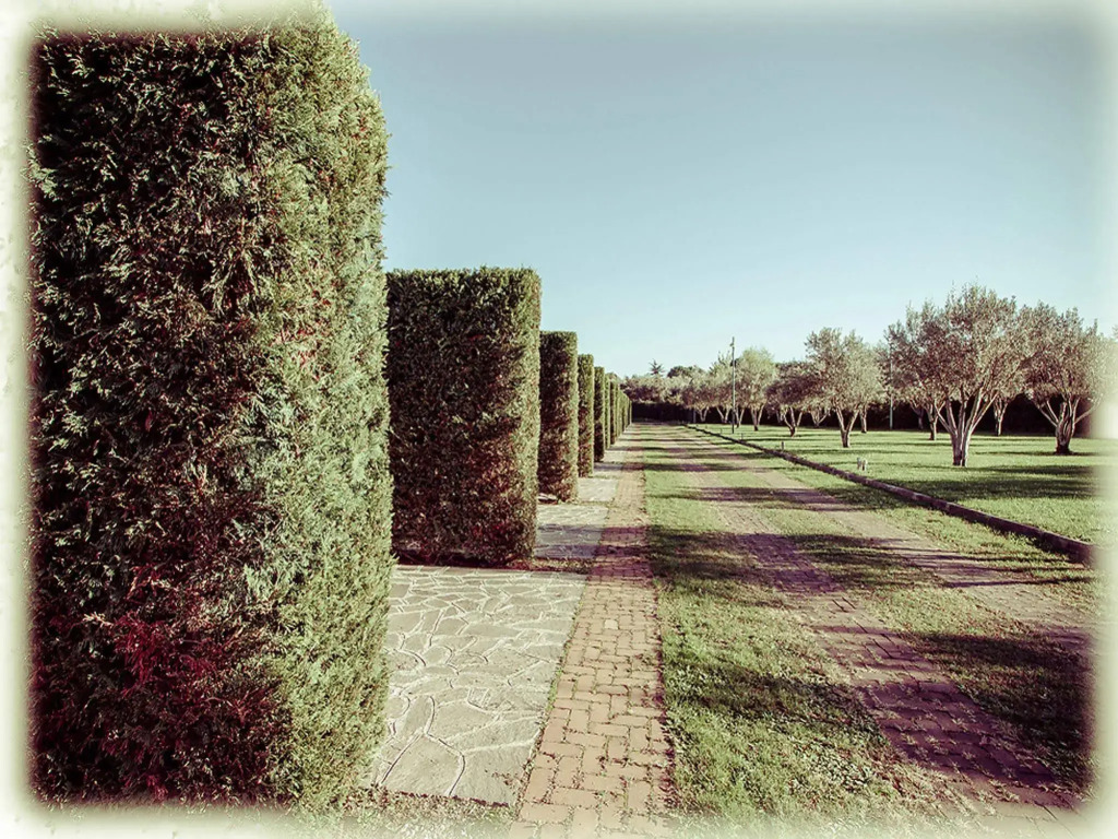 All Ways Garden Hotel & Leisure