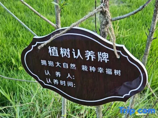 Gushili Homestay
