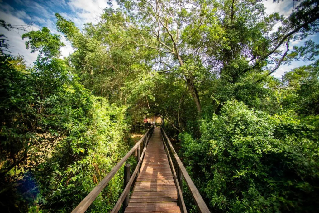 Gooderson Bushlands Game Lodge