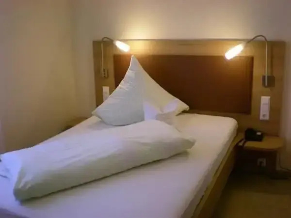 Hotel Goldener Löwe