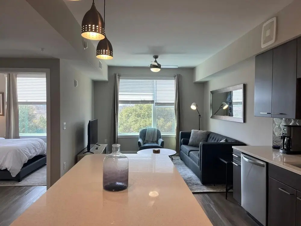 The Elvis Presley Urban Luxury Apts Austin