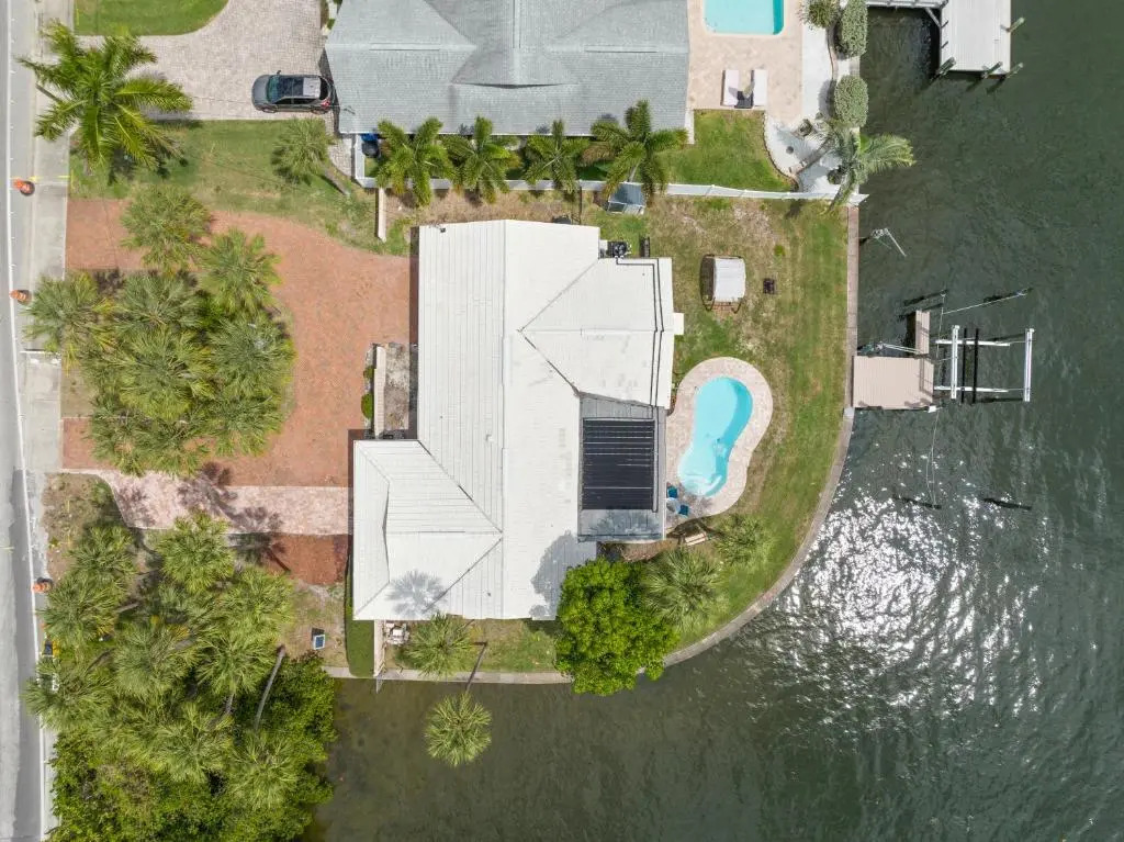 Dolphin Bayou