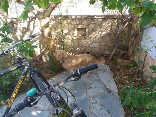 Antonia's House with Free Bikes