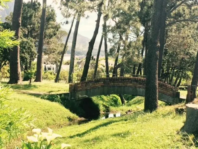 Si Si Studio