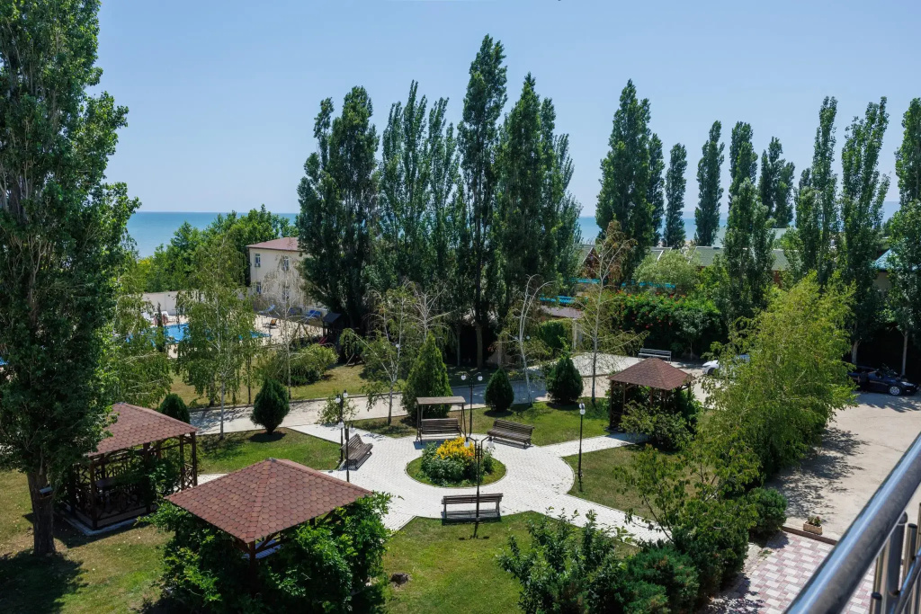 Берёзка