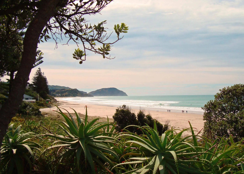 ASURE Ocean Beach Wainui