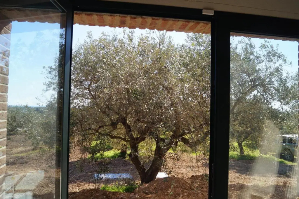 Sa Tanca De Mannoi