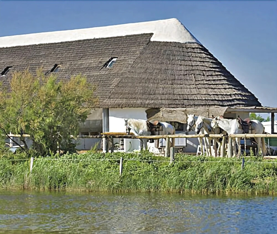 Hôtel Restaurant Les Arnelles