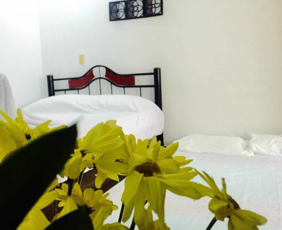 Bananas Hostel