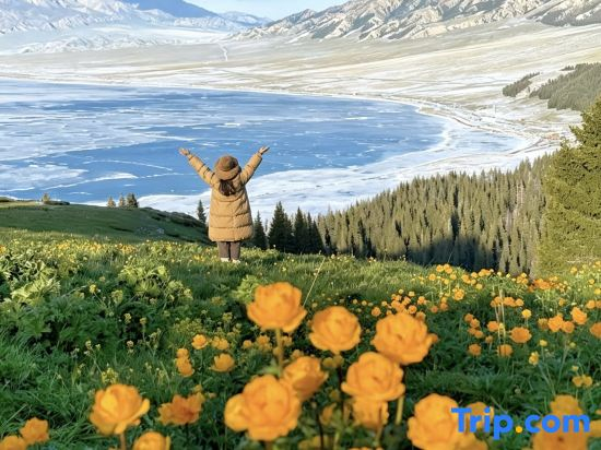 Sayram Lake Xinmin Muyun Mountain Residence Hotel