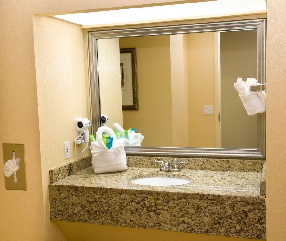 Holiday Inn Orlando International Dr-ICON by IHG