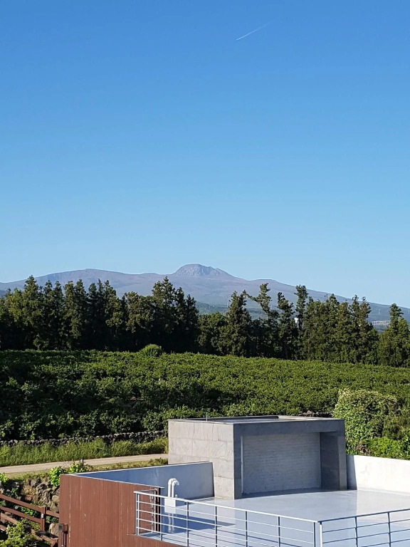 Jeju Eco Suites
