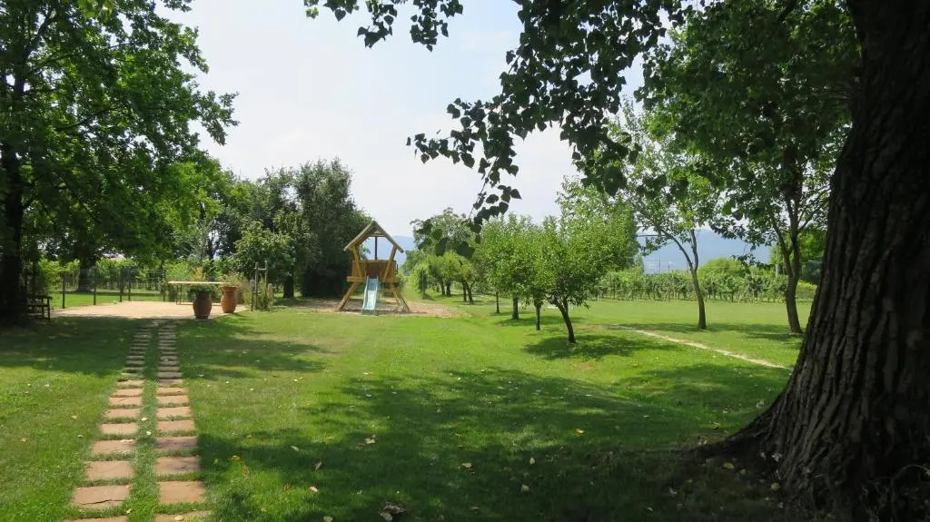 Agriturismo LAlbara - Wines, Pool & SPA