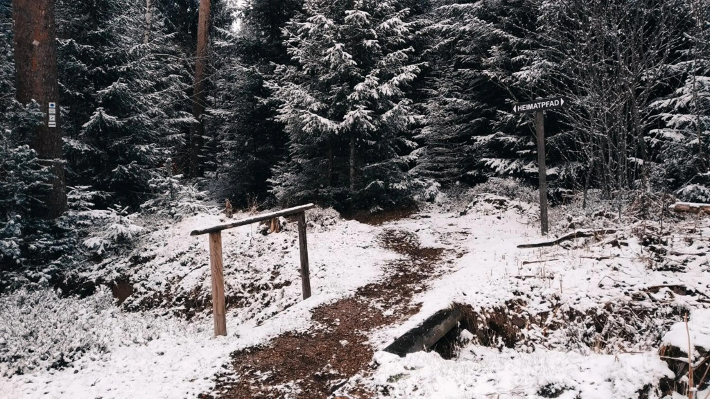 Wanderlust Panorama - Leben im Nationalpark