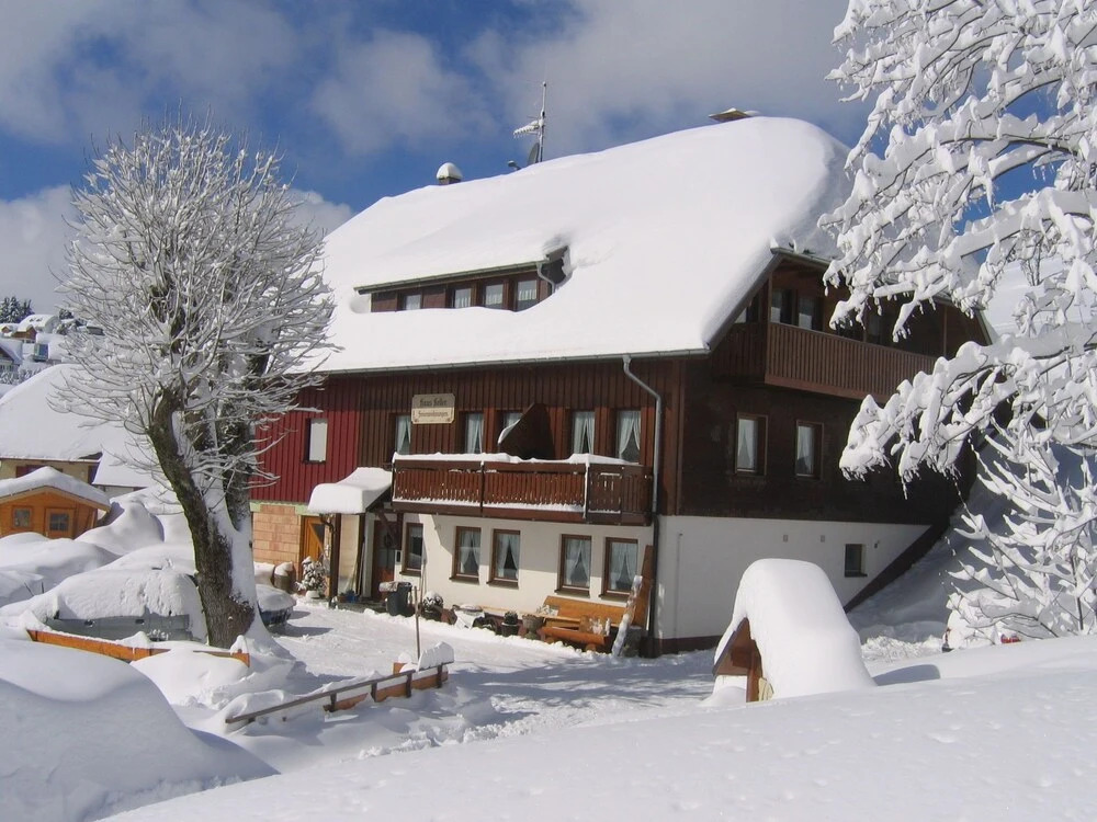 Luxurious Apartment in Todtnauberg With Terrace