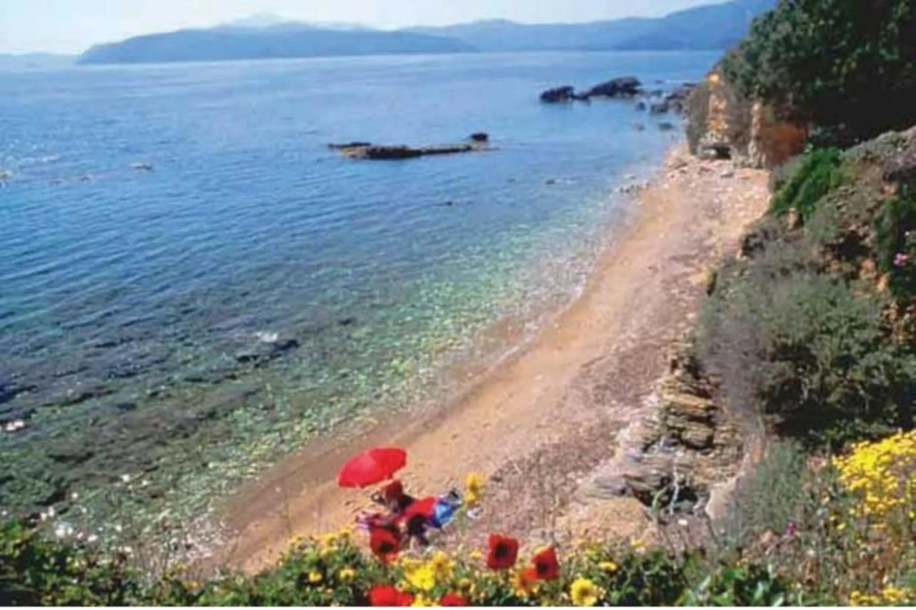 Apartment with panoramic sea view in a two-family villa just a few meters from the sea-RIPA DEI CARRAI2