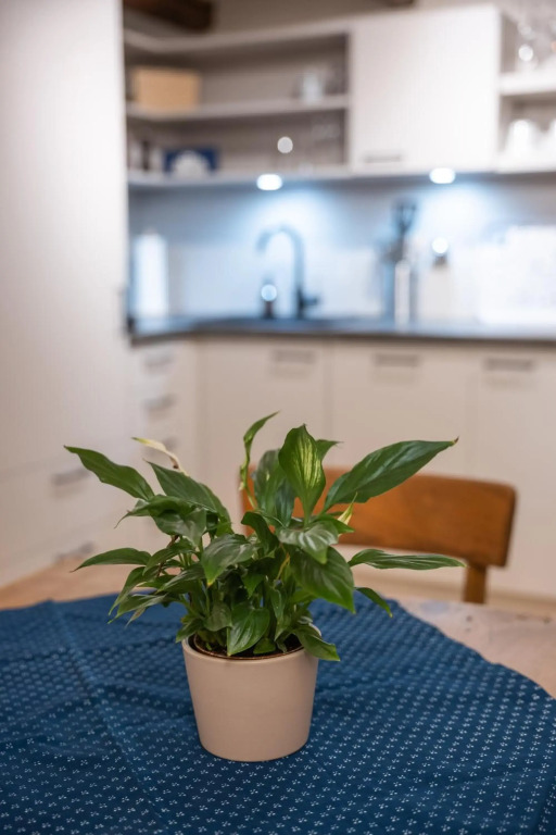Tschardakenhof Appartements
