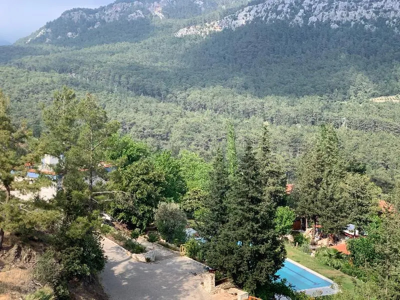 Trinitys Forest Bungalows