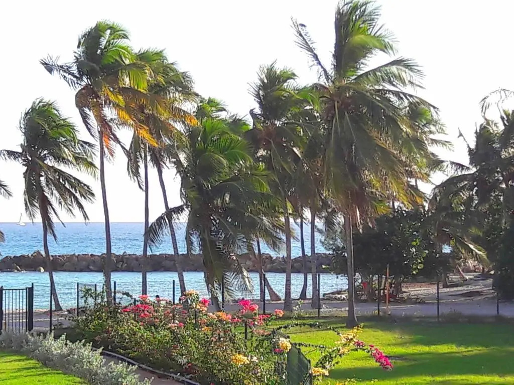 Studio Bleu Caraibe