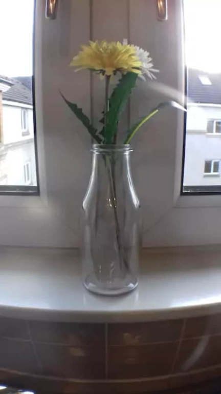 Two Bedroom Apartment Near Haymarket
