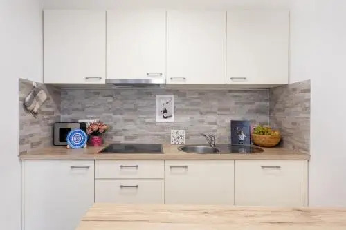 Apartments Repinc