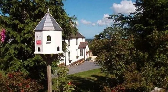 Celyn Villa Bed and Breakfast