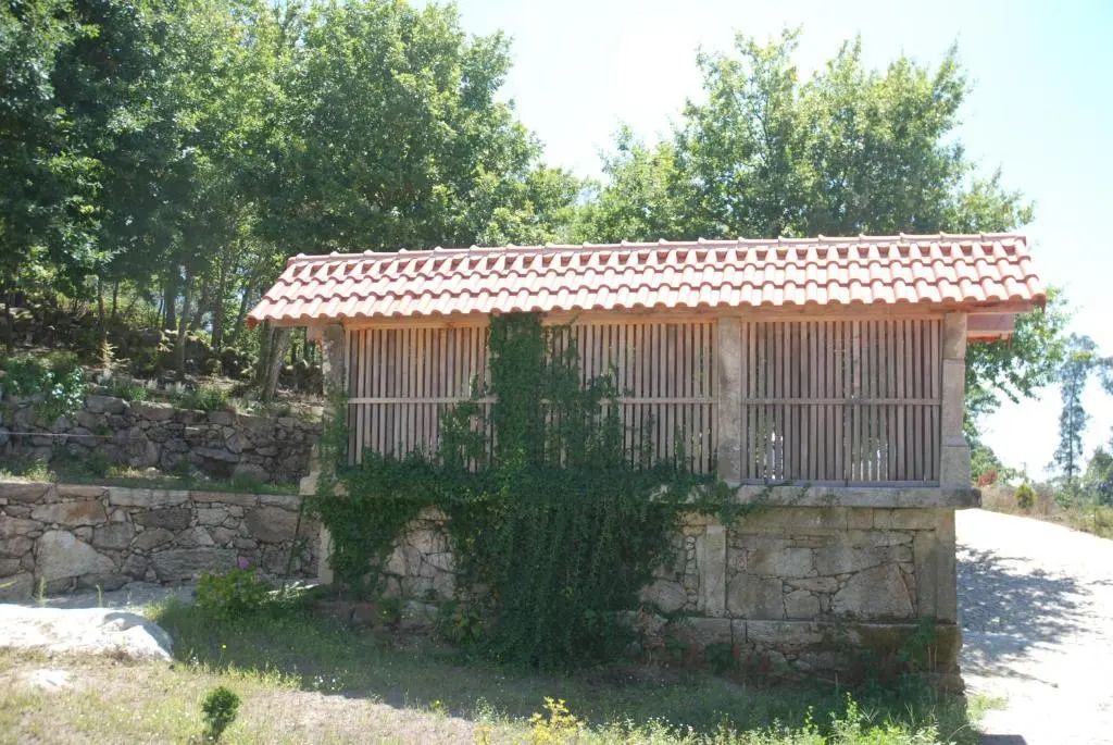TrebidOuro