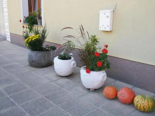 Jakopinovi, Narin