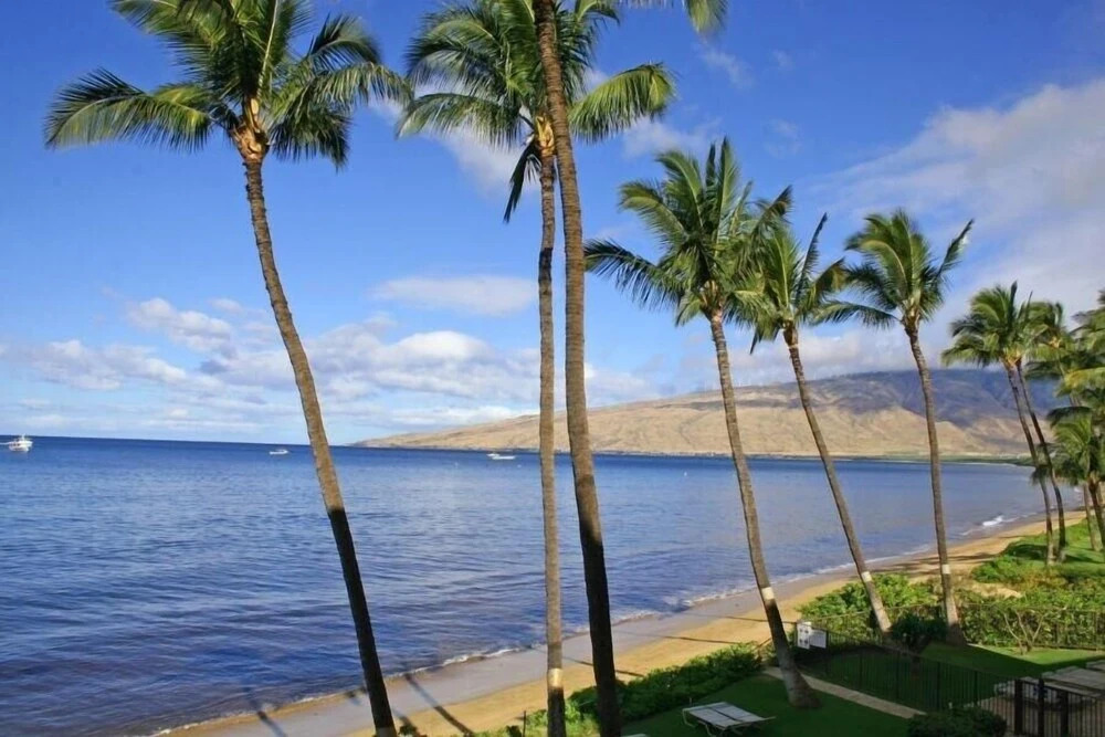Kihei Beach, #307 1 Bedroom Condo by RedAwning
