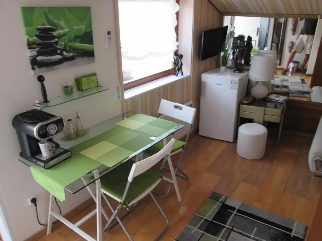 APARTMENT " Studio Green "