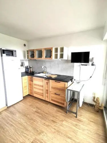 Appartement climatise Vue Mer 208