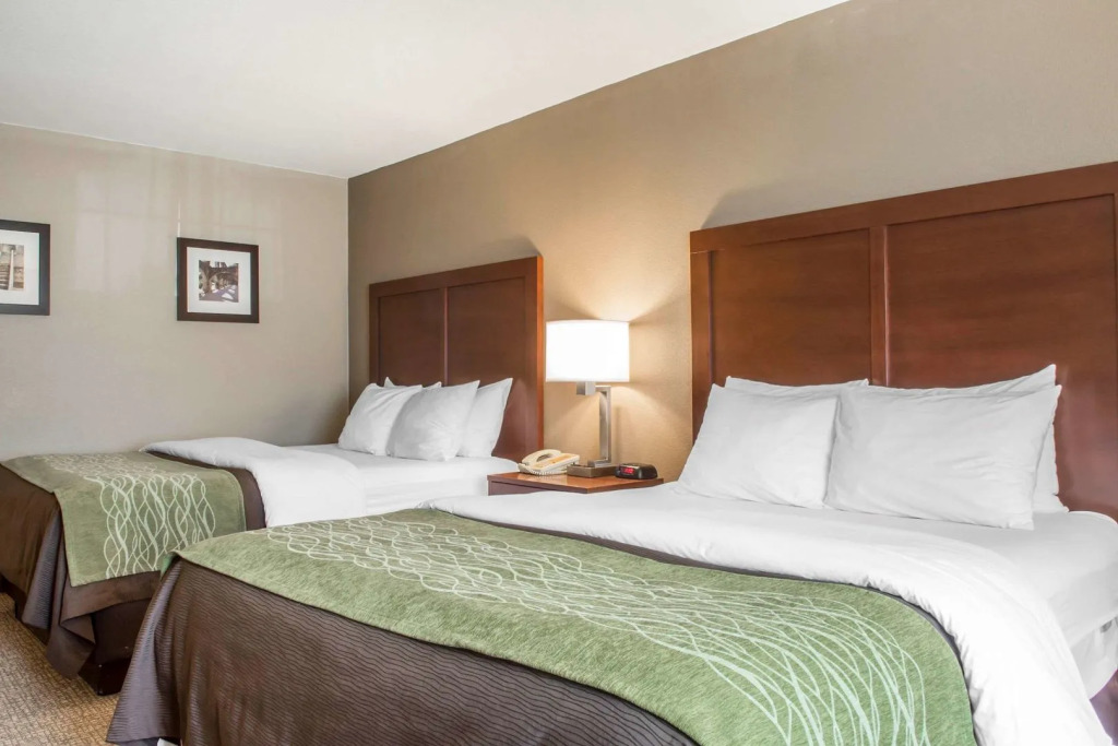 Comfort Inn Edinburg South