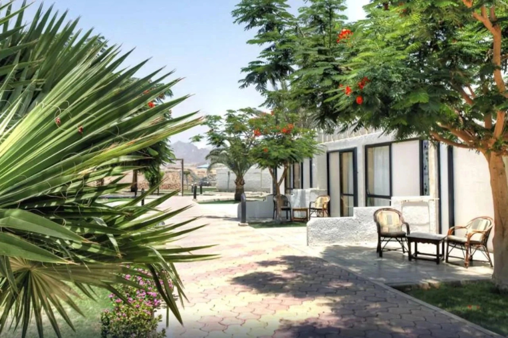 Domina Coral Bay Harem Hotel and Resort