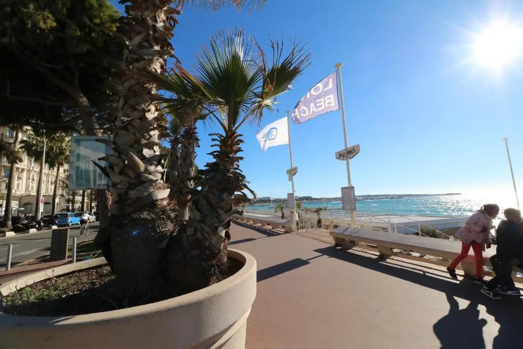 Luxury 1 bedroom Quai St Pierre 2 mins from the Palais & Croisette 269