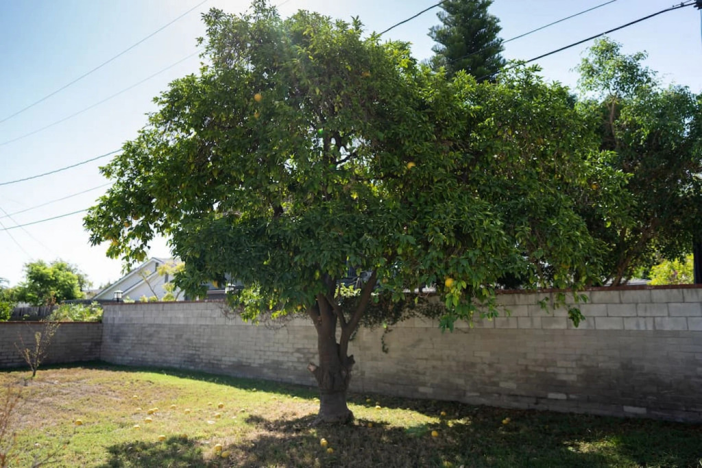 Tranquil 2BR Home in Beautiful Neighborhood (P24)