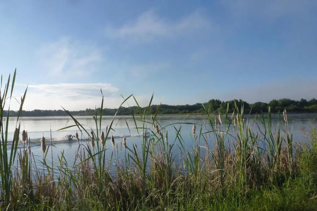 Gite Des Etangs