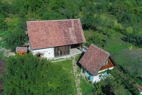 Dominic Boutique - Gardeners Cottage