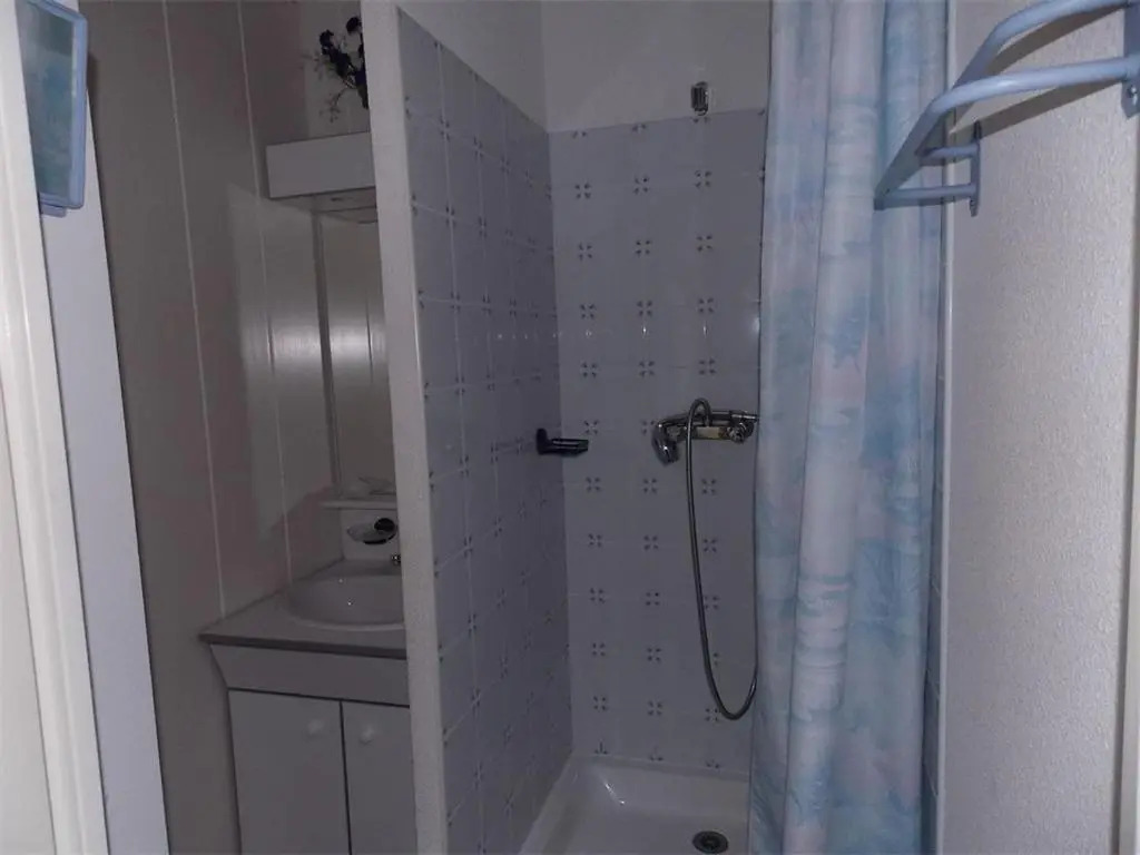 Appartement Bagnères-de-Luchon, 2 pièces, 5 personnes - FR-1-313-167