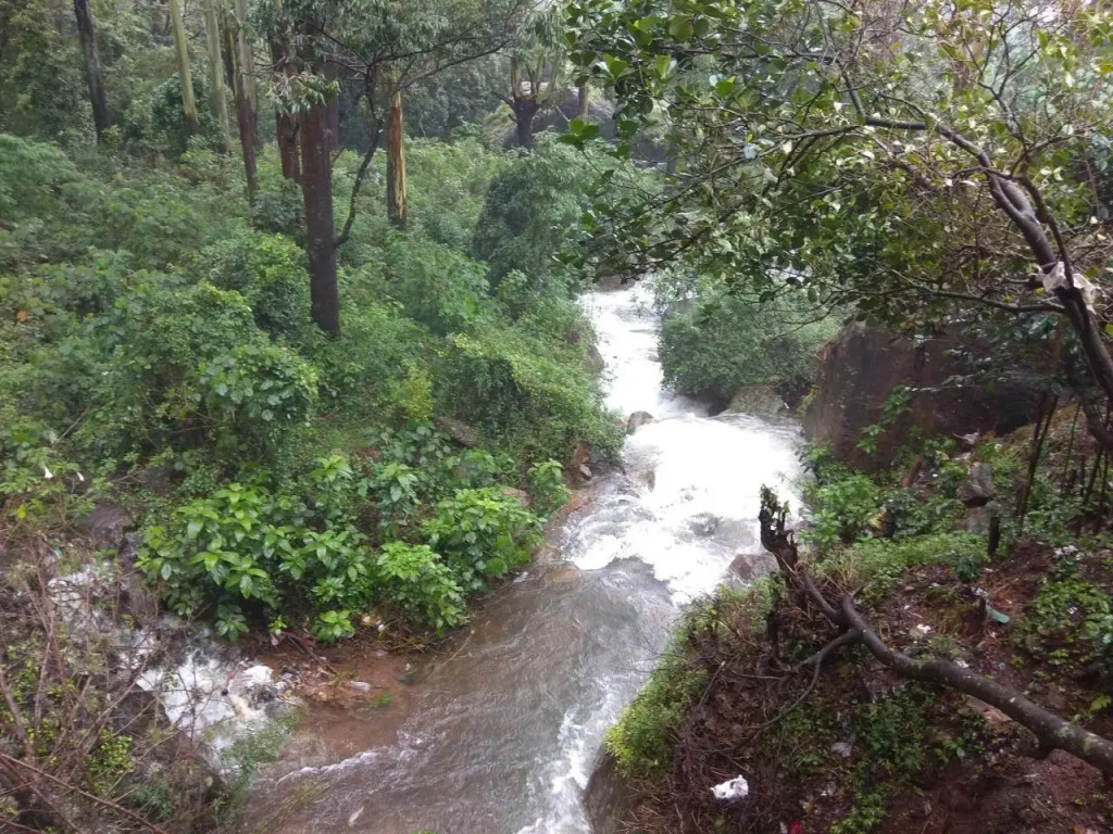 Pavithra Riverview Homestay